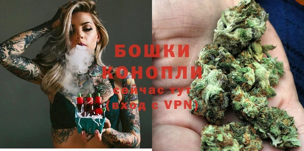 мескалин Заводоуковск