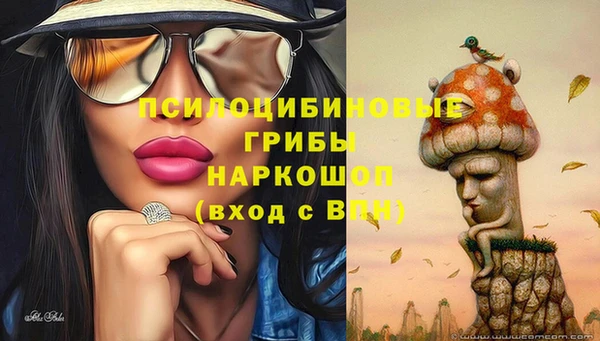 2c-b Заволжск